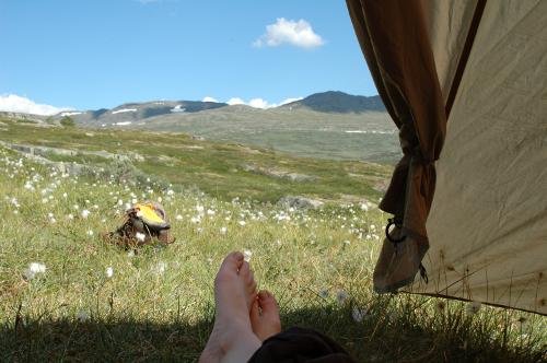 Blick aus unserem Zelt über die Hardangervidda